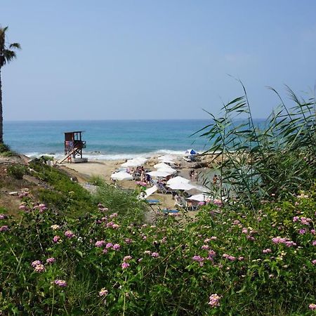 Limnaria Gardens Paphos, Near Beach Esterno foto